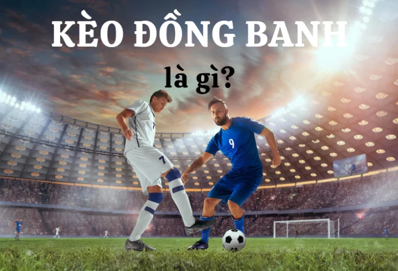 Kèo đồng banh là gì? Mẹo cược kèo chấp đồng banh hiệu quả